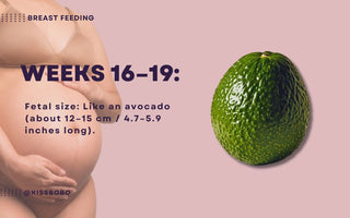 Essential Guide for Dads-to-Be | What You Need to Know During Weeks 16-19