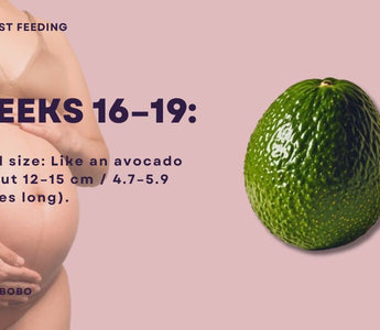 Essential Guide for Dads-to-Be | What You Need to Know During Weeks 16-19