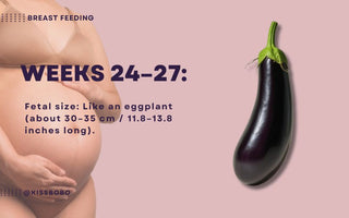 Essential Guide for Dads-to-Be | What to Know During Weeks 24-27