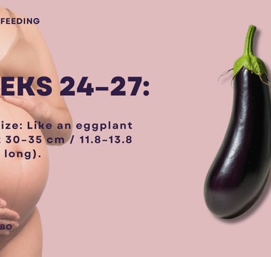 Essential Guide for Dads-to-Be | What to Know During Weeks 24-27