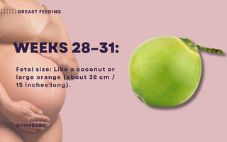 Essential Guide for Dads-to-Be | What to Know During Weeks 28-31