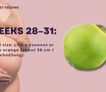 Essential Guide for Dads-to-Be | What to Know During Weeks 28-31