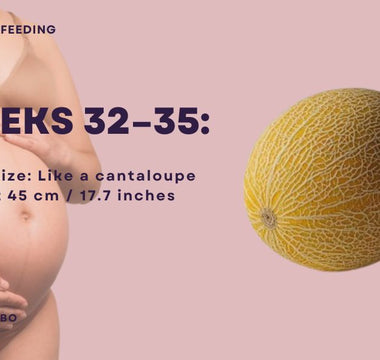 Essential Guide for Dads-to-Be | What to Know During Weeks 32-35