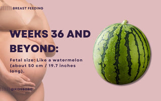 Essential Guide for Dads-to-Be | What to Know from Week 36 Until Delivery