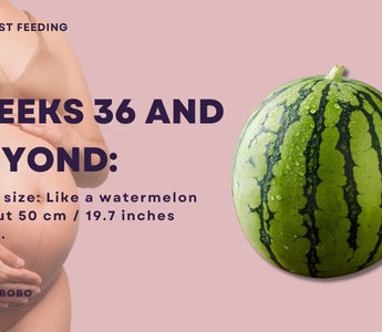 Essential Guide for Dads-to-Be | What to Know from Week 36 Until Delivery