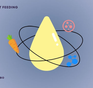 Colostrum Benefits: Why This ‘Liquid Gold’ is Vital for Newborn Health